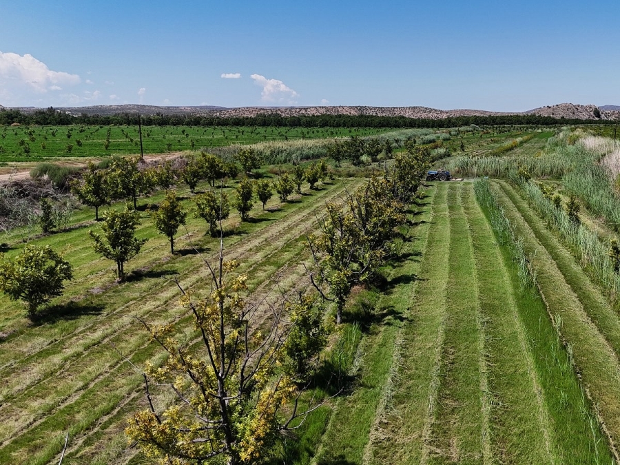 Commercial Property for Sale in Groblershoop Northern Cape